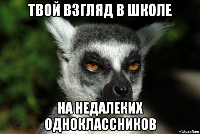 твой взгляд в школе на недалеких одноклассников, Мем   Я збагоен