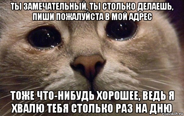 ты замечательный, ты столько делаешь, пиши пожалуйста в мой адрес тоже что-нибудь хорошее, ведь я хвалю тебя столько раз на дню, Мем   В мире грустит один котик