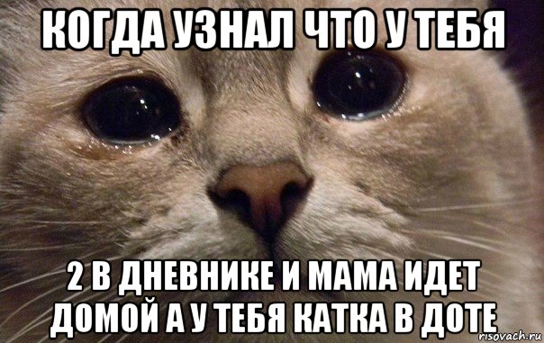 когда узнал что у тебя 2 в дневнике и мама идет домой а у тебя катка в доте, Мем   В мире грустит один котик