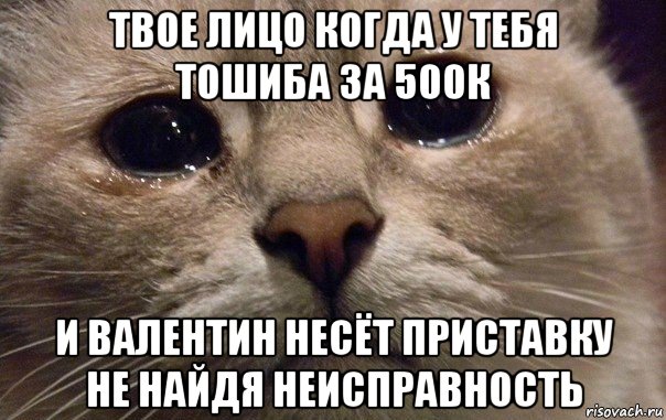 твое лицо когда у тебя тошиба за 500к и валентин несёт приставку не найдя неисправность, Мем   В мире грустит один котик