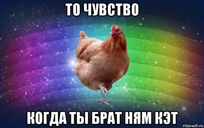 то чувство когда ты брат ням кэт