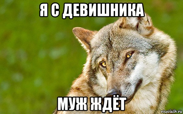 я с девишника муж ждёт, Мем   Volf