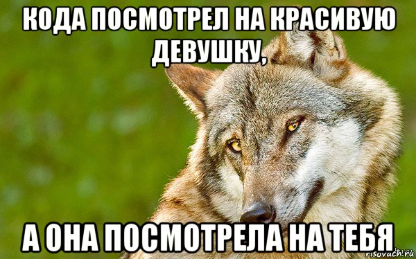 кода посмотрел на красивую девушку, а она посмотрела на тебя, Мем   Volf