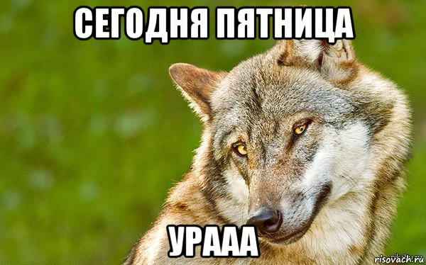 сегодня пятница урааа