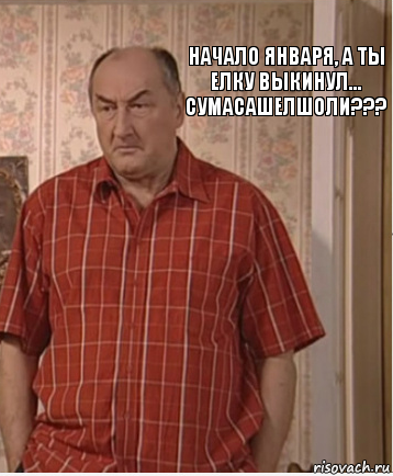 НАЧАЛО ЯНВАРЯ, А ТЫ ЕЛКУ ВЫКИНУЛ...
СУМАСАШЕЛШОЛИ???, Комикс Николай Петрович Воронин