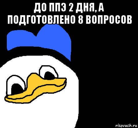 до ппэ 2 дня, а подготовлено 8 вопросов , Мем ВСЕ ОЧЕНЬ ПЛОХО