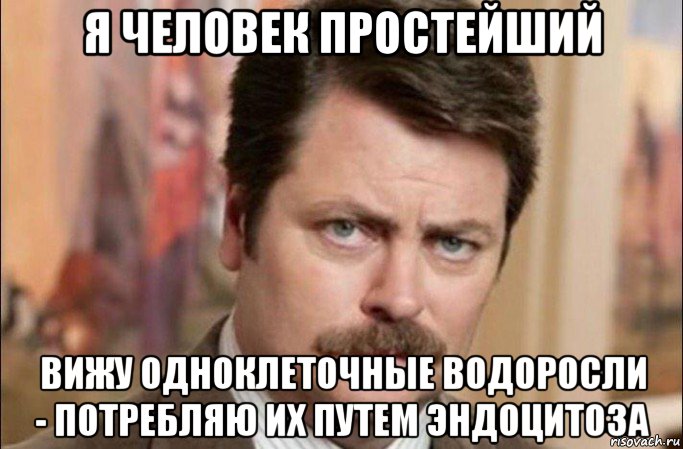 я человек простейший вижу одноклеточные водоросли - потребляю их путем эндоцитоза, Мем  Я человек простой