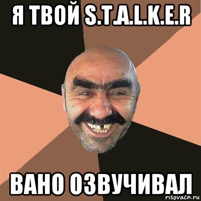 я твой s.t.a.l.k.e.r вано озвучивал, Мем Я твой дом труба шатал