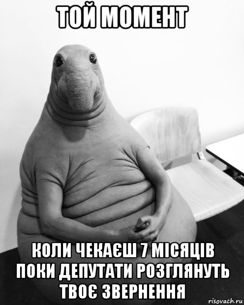 той момент коли чекаєш 7 місяців поки депутати розглянуть твоє звернення, Мем  Ждун