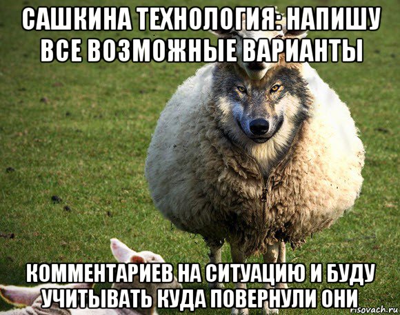 сашкина технология: напишу все возможные варианты комментариев на ситуацию и буду учитывать куда повернули они, Мем Злая Овца