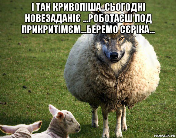 і так кривопіша..сьогодні новезаданіє ...роботаєш под прикритімєм...беремо сєріка... , Мем Злая Овца