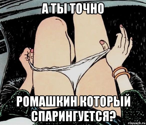 а ты точно ромашкин который спарингуется?, Мем А ты точно