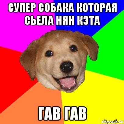 супер собака которая сьела нян кэта гав гав, Мем Advice Dog