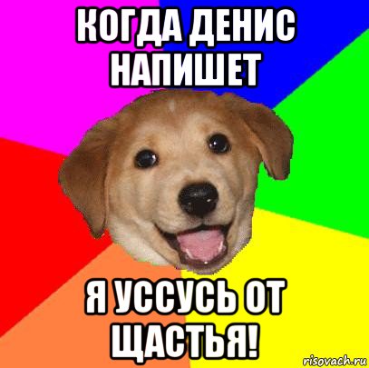 когда денис напишет я уссусь от щастья!, Мем Advice Dog