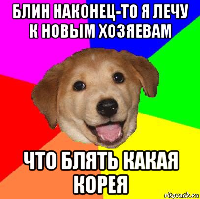 блин наконец-то я лечу к новым хозяевам что блять какая корея, Мем Advice Dog