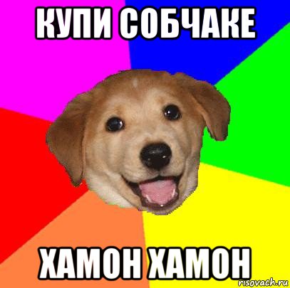 купи собчаке хамон хамон, Мем Advice Dog