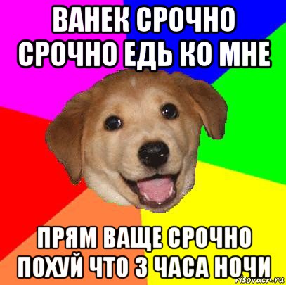 ванек срочно срочно едь ко мне прям ваще срочно похуй что 3 часа ночи, Мем Advice Dog