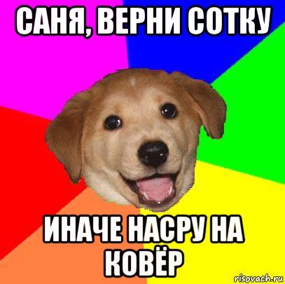 саня, верни сотку иначе насру на ковёр, Мем Advice Dog