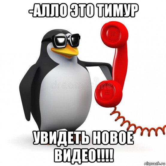 -алло это тимур увидеть новое видео!!!!