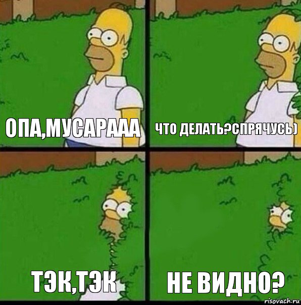 Опа,МУСАРААА Что делать?Спрячусь) Тэк,тэк Не видно?, Комикс Гомер спрятался в кусты