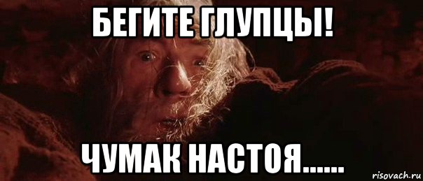 бегите глупцы! чумак настоя......