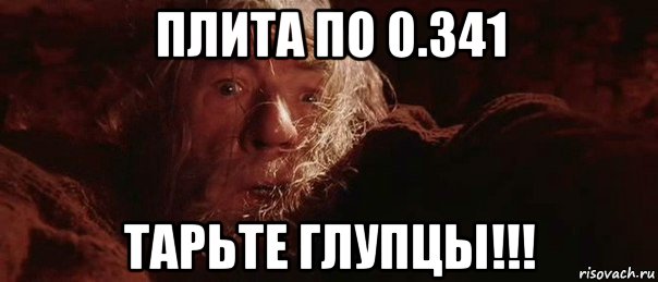 плита по 0.341 тарьте глупцы!!!, Мем бегите глупцы