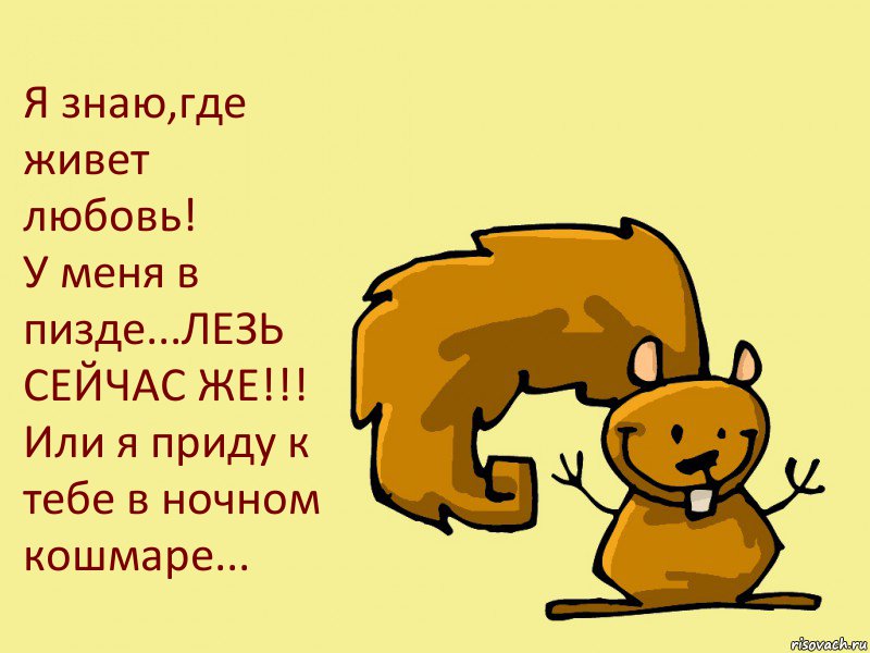 Я знаю,где живет любовь!
У меня в пизде...ЛЕЗЬ СЕЙЧАС ЖЕ!!! Или я приду к тебе в ночном кошмаре..., Комикс  белка