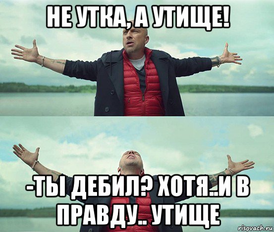 не утка, а утище! -ты дебил? хотя..и в правду.. утище, Мем Безлимитище