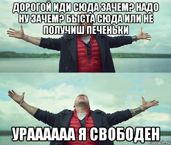 дорогой иди сюда зачем? надо ну зачем? быста сюда или не получиш печеньки ураааааа я свободен, Мем Безлимитище