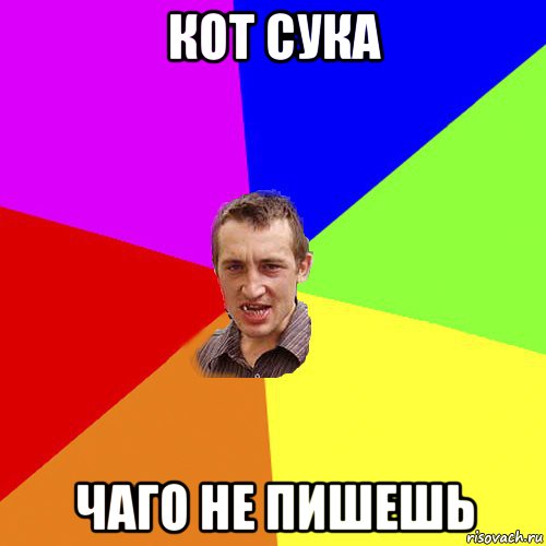 кот сука чаго не пишешь, Мем Чоткий паца