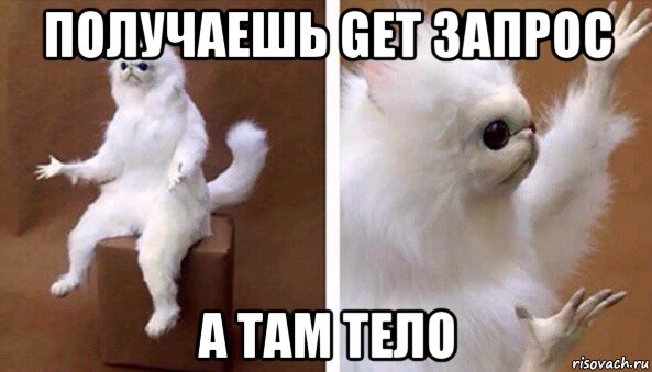 получаешь get запрос а там тело, Мем Чучело кота