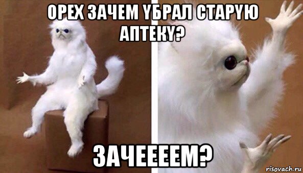 орех зачем yбрал старyю аптекy? зачеееем?, Мем Чучело кота