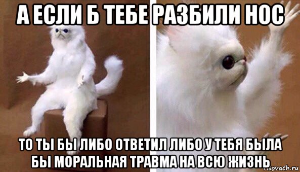 а если б тебе разбили нос то ты бы либо ответил либо у тебя была бы моральная травма на всю жизнь, Мем Чучело кота