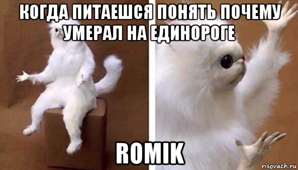 когда питаешся понять почему умерал на единороге romik, Мем Чучело кота