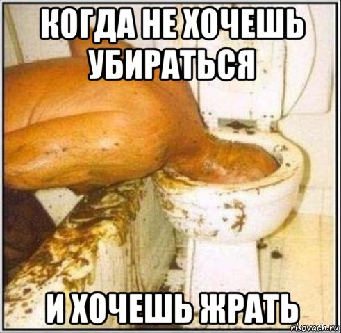 когда не хочешь убираться и хочешь жрать, Мем Дайвер