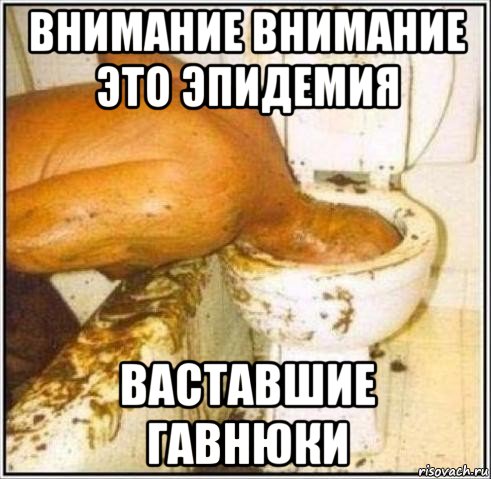 внимание внимание это эпидемия ваставшие гавнюки, Мем Дайвер