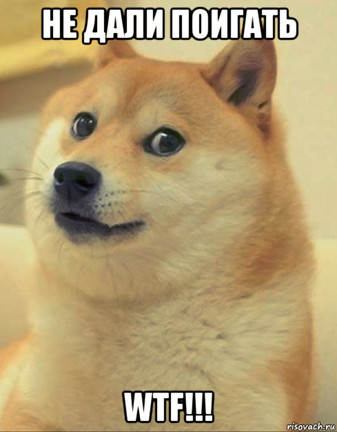 не дали поигать wtf!!!, Мем doge woof