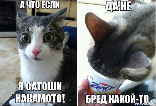 Я Сатоши Накамото!, Комикс А что если