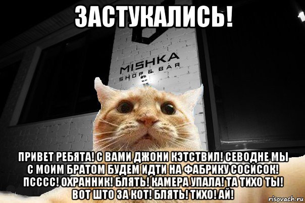 застукались! привет ребята! с вами джони кэтствил! севодне мы с моим братом будем идти на фабрику сосисок! псссс! охранник! блять! камера упала! та тихо ты! вот што за кот! блять! тихо! ай!