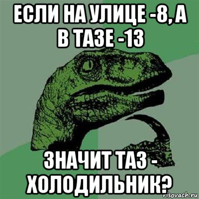 если на улице -8, а в тазе -13 значит таз - холодильник?, Мем Филосораптор