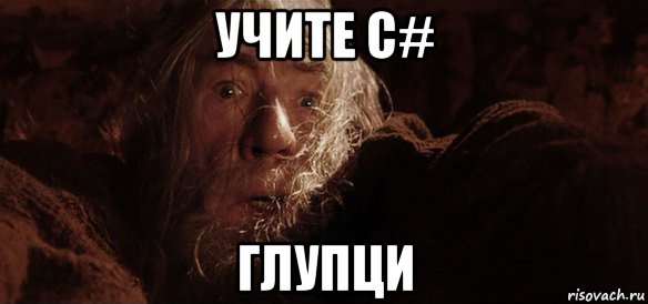 учите c# глупци, Мем Гендальф (Бегите глупцы)