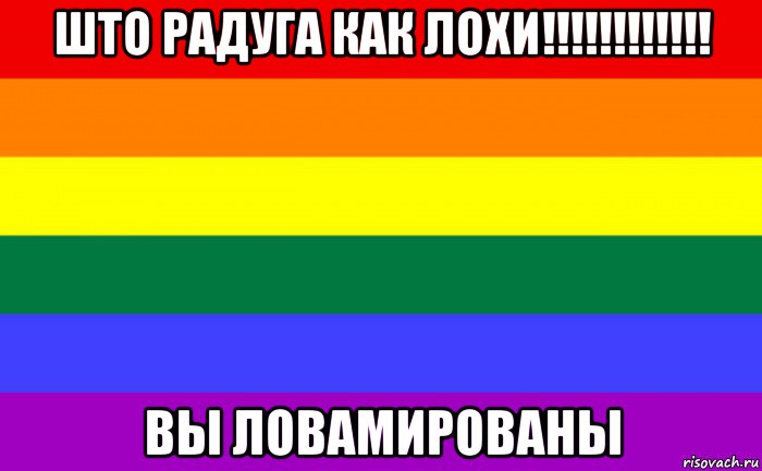 што радуга как лохи!!!!!!!!!!!! вы ловамированы