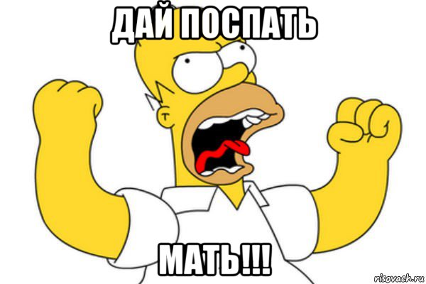 дай поспать мать!!!, Мем Разъяренный Гомер