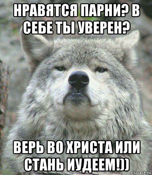 нравятся парни? в себе ты уверен? верь во христа или стань иудеем!)), Мем    Гордый волк