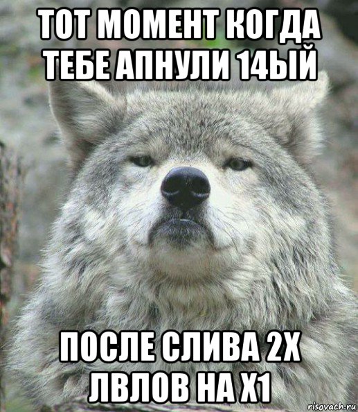 тот момент когда тебе апнули 14ый после слива 2х лвлов на х1, Мем    Гордый волк