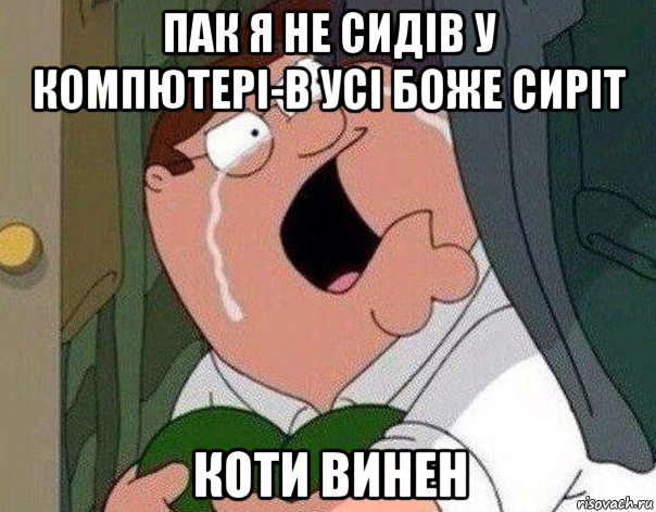 пак я не сидів у компютері-в усі боже сиріт коти винен, Мем Гриффин плачет