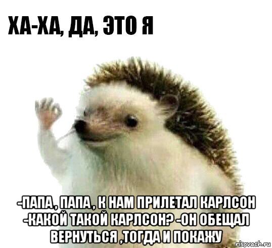  -папа , папа , к нам прилетал карлсон -какой такой карлсон? -он обещал вернуться ,тогда и покажу