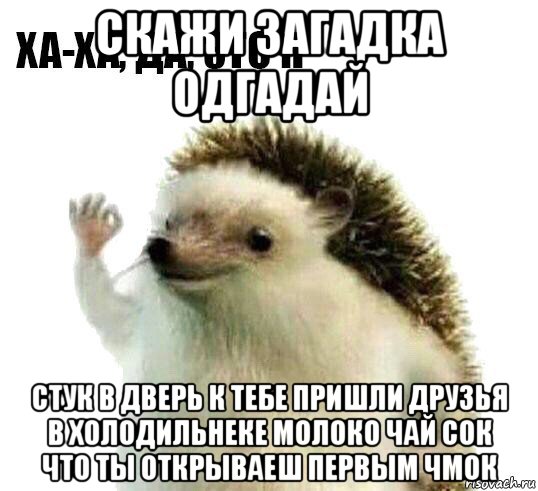 скажи загадка одгадай стук в дверь к тебе пришли друзья в холодильнеке молоко чай сок что ты открываеш первым чмок, Мем Ха-ха да это я