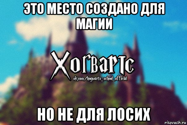 это место создано для магии но не для лосих, Мем Хогвартс