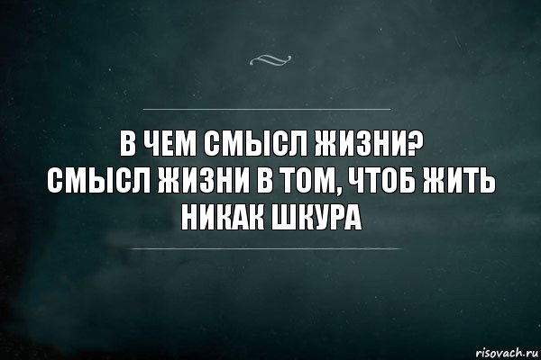 В чем смысл жизни?
Смысл жизни в том, чтоб жить никак шкура, Комикс Игра Слов